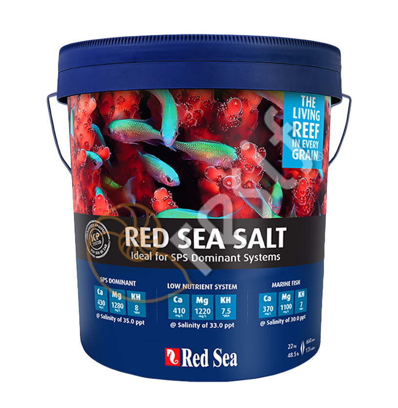 RED SEA SALT 22 Kg